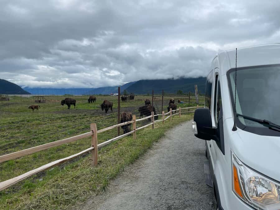 Anchorage: Scenic Tour to Wildlife Center with hotel pickup - FAQ
