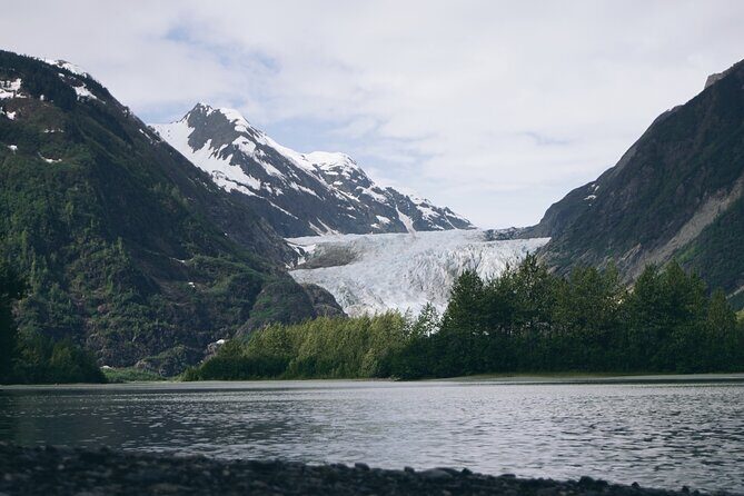 Anchorage to Seward Cruise Transfer & Wildlife Tour - Beluga Point: quick wildlife viewing near Dahl sheep country