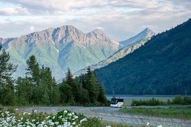 Anchorage to Seward Wildlife Adventure - Key highlights you’ll feel right away