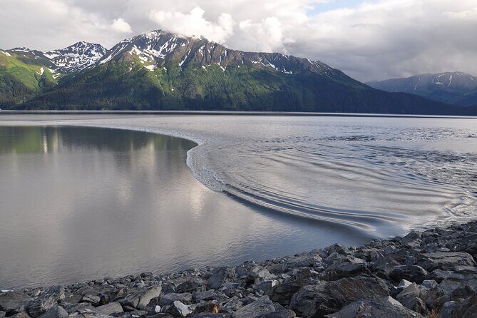 Anchorage to Seward Wildlife Adventure - How the 11:00 am schedule works with cruise ship days