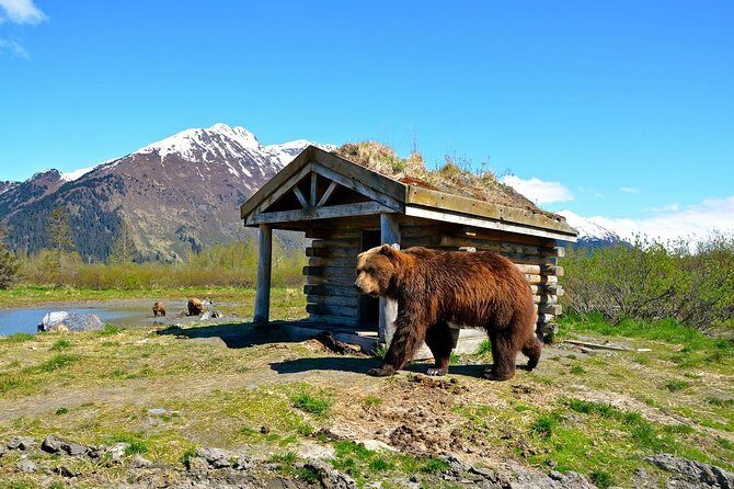Anchorage to Whittier Cruise Transfer and Private Tour - Key highlights worth planning around