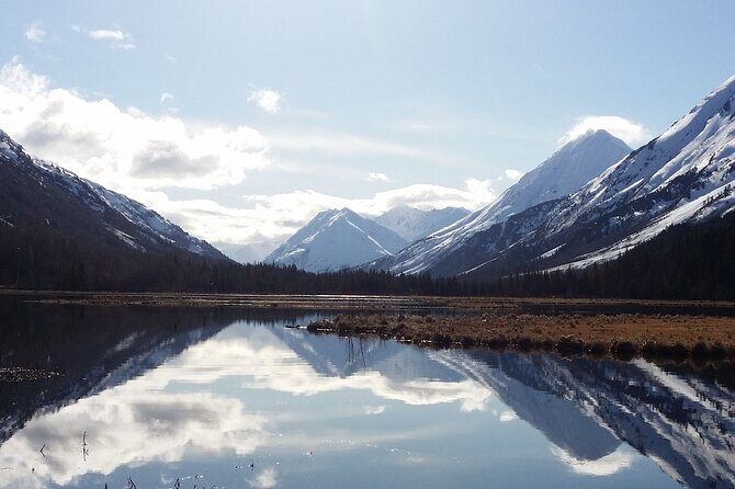 Anchorage to Whittier Cruise Transfer and Private Tour - Wildlife Conservation Center: optional, educational, and worth your time for many groups
