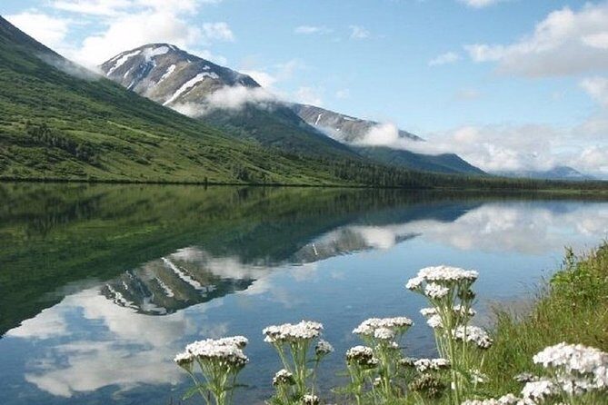 Anchorage to Whittier Cruise Transfer and Private Tour - Timing, pickup, and how flexible the schedule really is