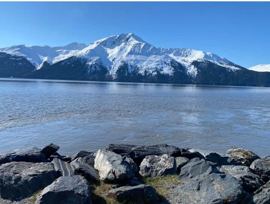 Anchorage: Wildlife Conservation Center & Portage Valley - Getting there: the Old City Hall pickup and what to look for