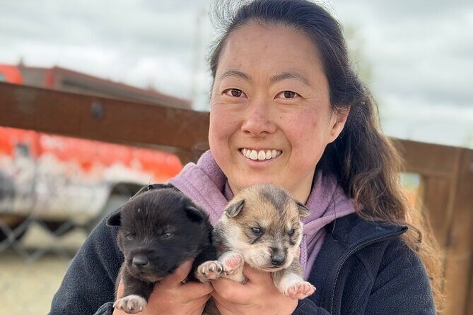 Anchorage's Authentic Dog Sledding Experience - Quick, specific takeaways