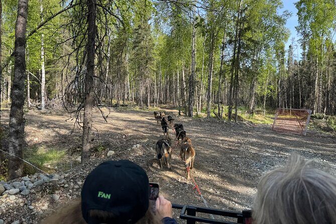Anchorage's Authentic Dog Sledding Experience - Group size and what that does for your experience