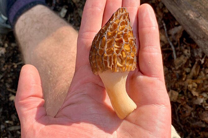 Backcountry Eats & Foraging Treats - Meeting at William A. Egan and Getting Your Bearings
