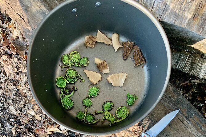 Backcountry Eats & Foraging Treats - The Best Part for Families and Curious Eaters: Small-Group Energy