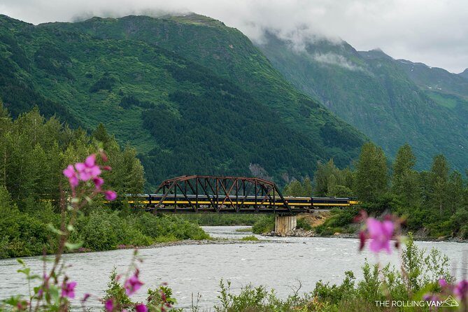 Bears, Trains & Icebergs Tour - Alaska Railroad: seeing wildlife from comfort (and not stressing about roads)