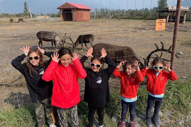 Bears, Trains & Icebergs Tour - Price and value: is $392 worth it?