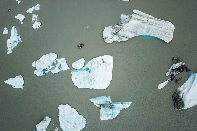 Bears, Trains & Icebergs Tour - Guides and logistics: where this tour shines, and where it can wobble