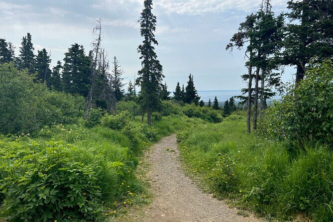 Chugach State Park Nature Walk - Key things I’d circle before you go