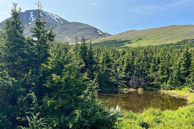 Chugach State Park Nature Walk - Pace and terrain: what walking actually feels like on this route