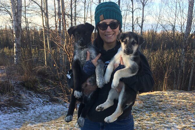 Dog Sledding Adventure in Willow, Alaska - Gear check: parkas help, but cold hands are real