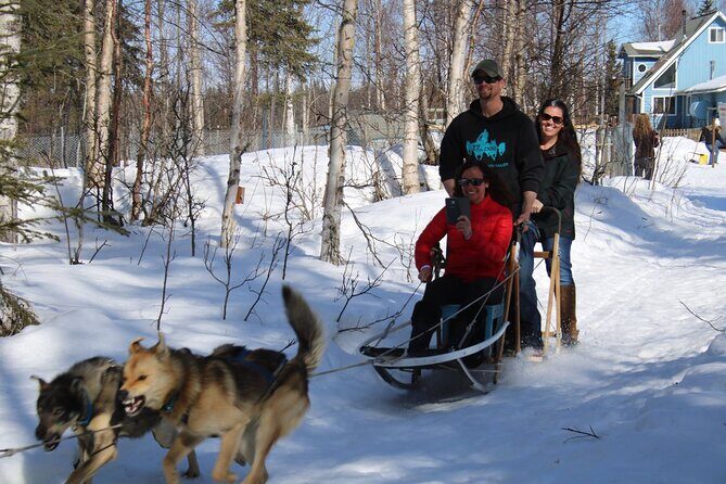 Dog Sledding Adventure in Willow, Alaska - The sled ride: private trails, Denali views, and photo stops
