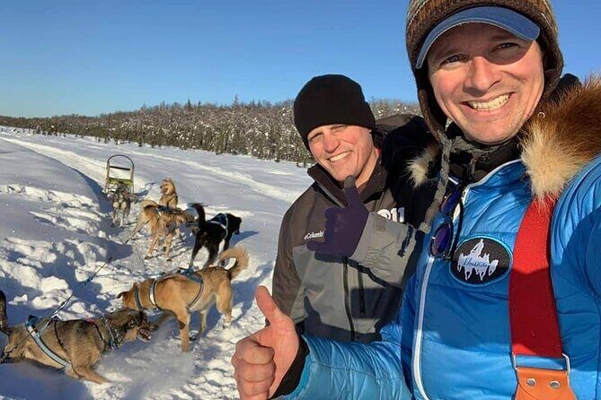 Dog Sledding Adventure in Willow, Alaska - Mount McKinley stop: how it fits into the ride