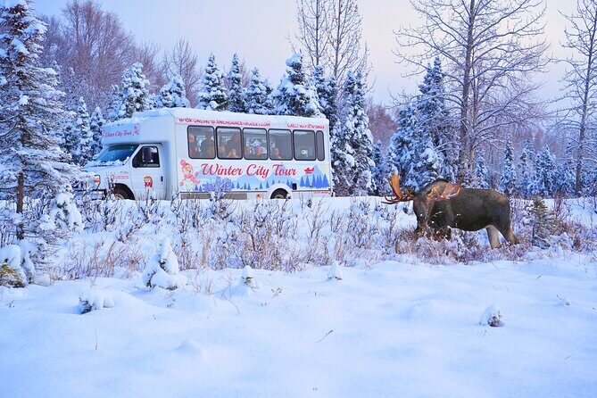 Exploring Anchorage on Winter Sundays - Quick Pass-By Stops: West Anchorage High and the Underground House