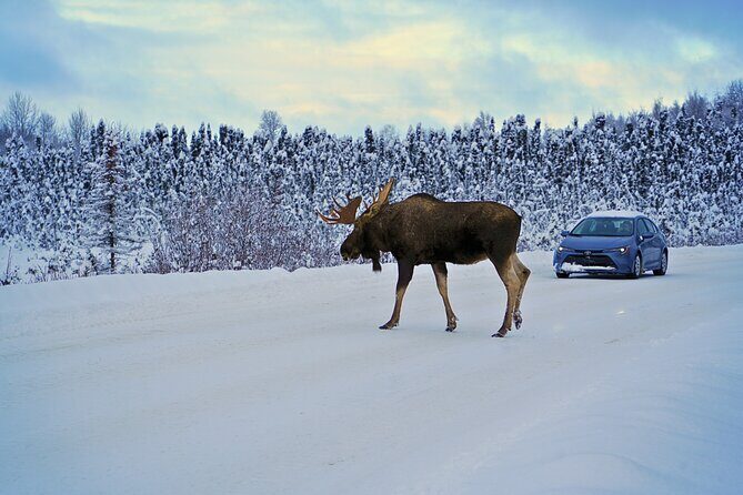 Exploring Anchorage on Winter Sundays - Veterans Memorial and Westchester Lagoon: Remembering and Resetting