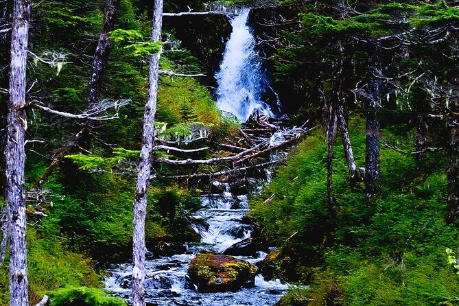 Exquisite Wildlife & Wilderness Photo Tour Anchorage -Whittier - An Anchorage-to-Whittier Day Built Around Better Photos