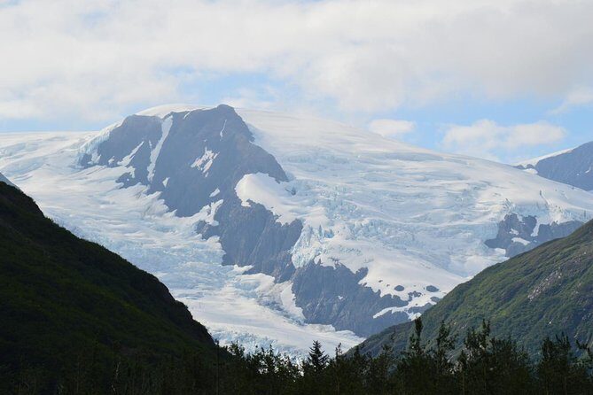 Exquisite Wildlife & Wilderness Photo Tour Anchorage -Whittier - Alaska Wildlife Conservation Center: Wildlife Up Close