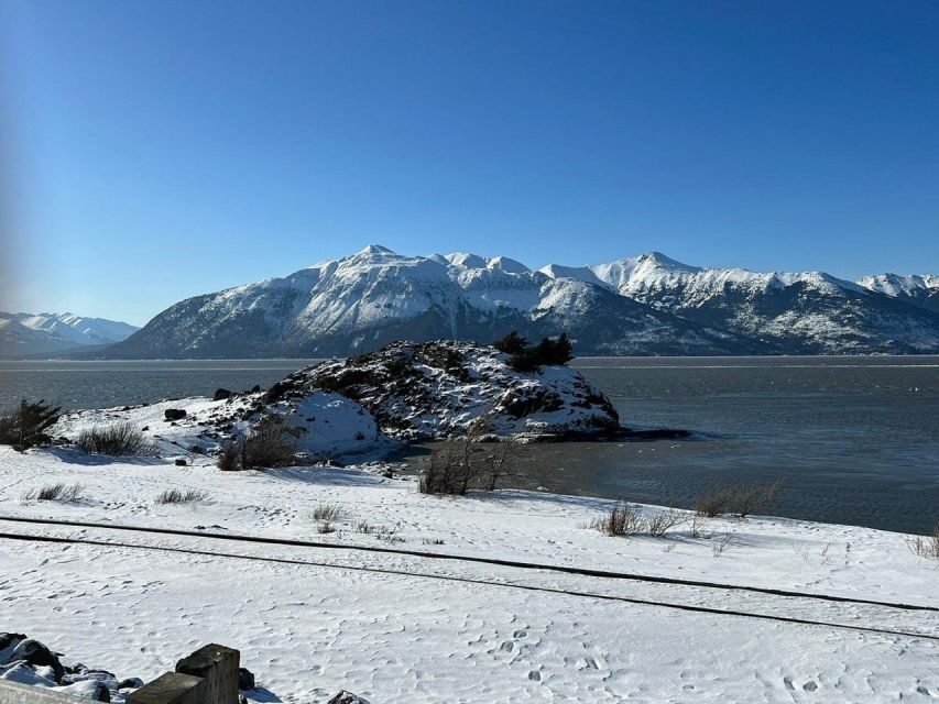 From Anchorage: Alaska Wildlife Center & Turnagain Arm Tour - Logistics that actually matter: meeting point, timing, and what to bring