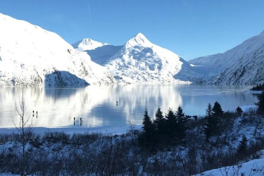 From Anchorage: Alaska Wildlife Center & Turnagain Arm Tour - Who should book this Turnagain Arm wildlife day trip?