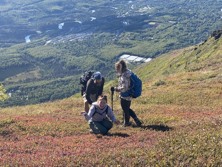 From Anchorage: Chugach State Park Guided Alpine Trek - From the Egan Civic Center to a true alpine start in Chugach State Park