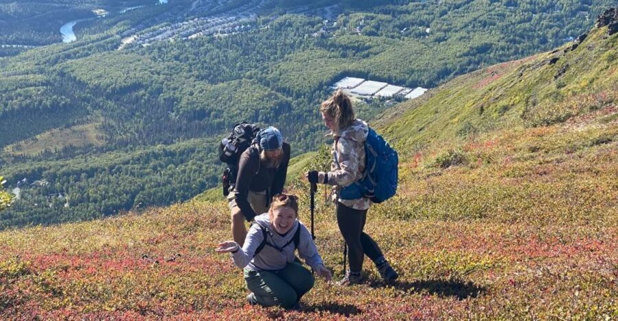 From Anchorage: Chugach State Park Guided Alpine Trek - Tundra and alpine forest lessons you can feel, not just read