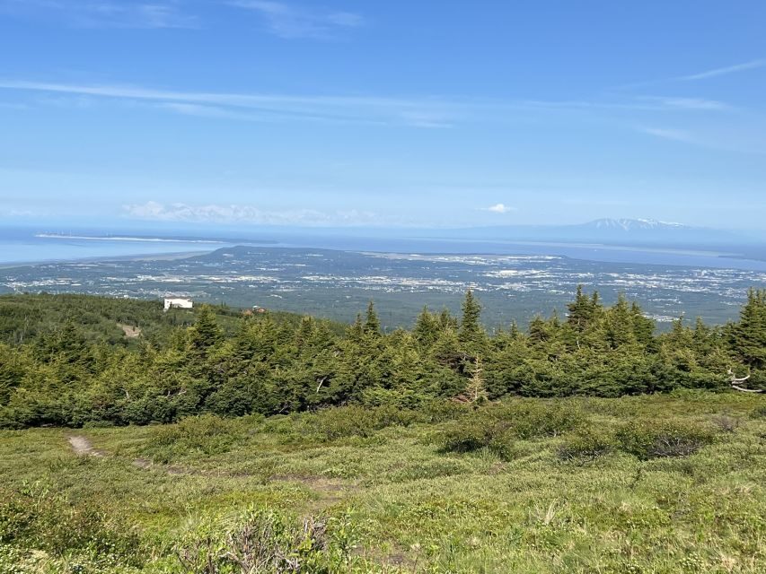 From Anchorage: Chugach State Park Walk with Naturalist - Price and What $129 Buys You in Anchorage Nature Time