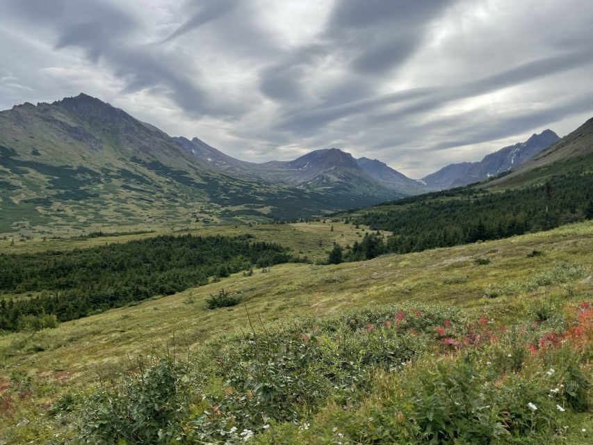 From Anchorage: Chugach State Park Walk with Naturalist - Seasonal Nature Notes: What Changes From June to Late Summer
