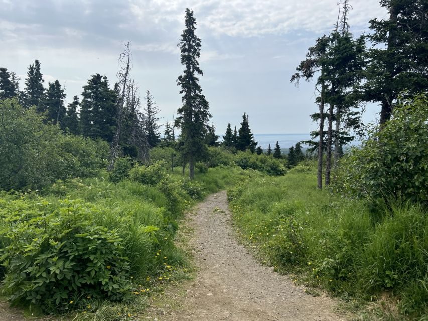 From Anchorage: Chugach State Park Walk with Naturalist - Who This 3-Hour Chugach Walk Is For (and Who Should Skip It)