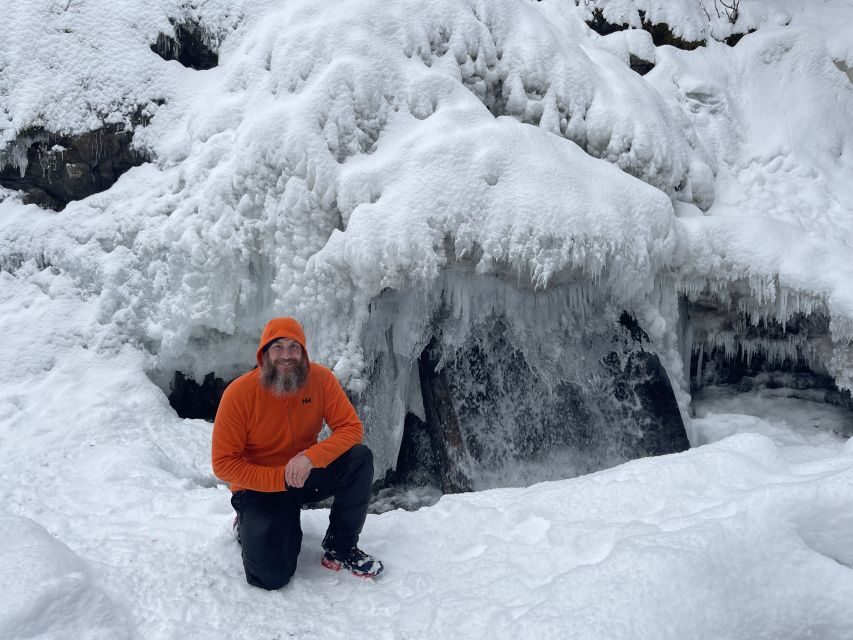 From Anchorage: Chugach State Park Winter Walking Tour - Key things you’ll notice on this Chugach winter walk