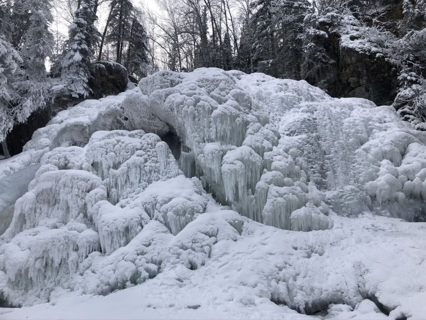 From Anchorage: Chugach State Park Winter Walking Tour - The 3-hour route: what the walk feels like