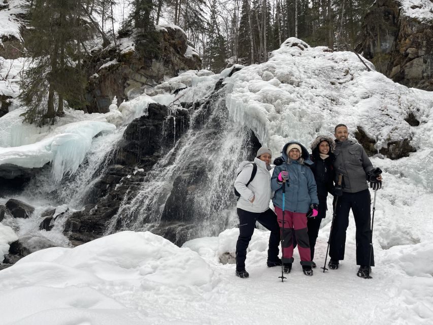 From Anchorage: Chugach State Park Winter Walking Tour - Wildlife spotting without getting stuck in wishful thinking