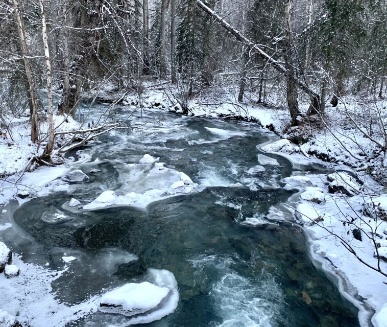 From Anchorage: Chugach State Park Winter Walking Tour - Gear and clothing: what to bring (and what to skip)