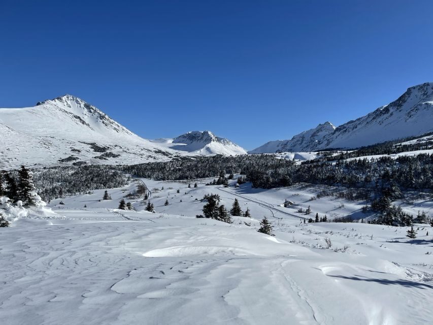 From Anchorage: Glen Alps Beginner's Snowshoeing Adventure - How demanding is it, really? Fitness tips for this 3-hour outing