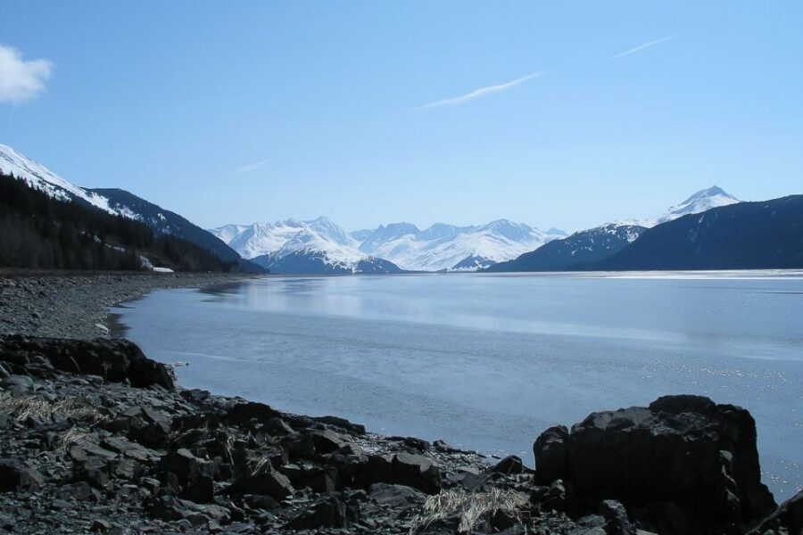 From Anchorage: Portage Glacier and Wildlife Full-Day Tour - Why this combo works: glacier, whales, and animals in one organized day