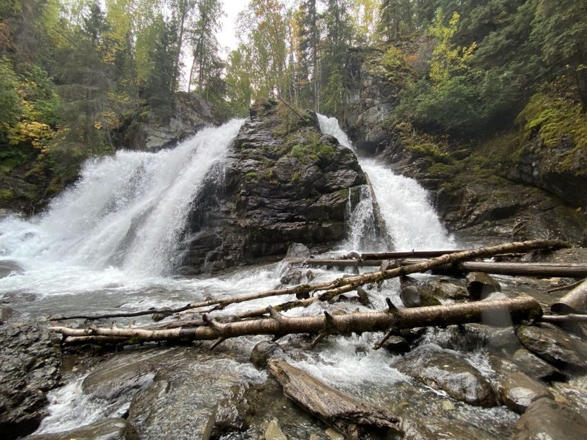 From Anchorage: Valley and Forest Hike with Naturalist Guide - Key highlights worth aiming for
