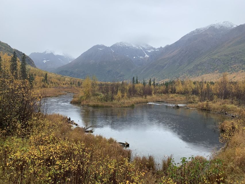 From Anchorage: Valley and Forest Hike with Naturalist Guide - Why Eagle River and Barbara Falls feel like a classic Alaska day