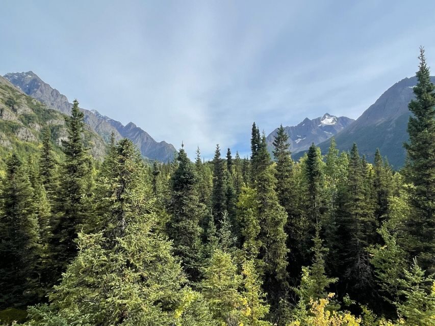 From Anchorage: Valley and Forest Hike with Naturalist Guide - Eagle River Nature Center trails: the forest-and-water section