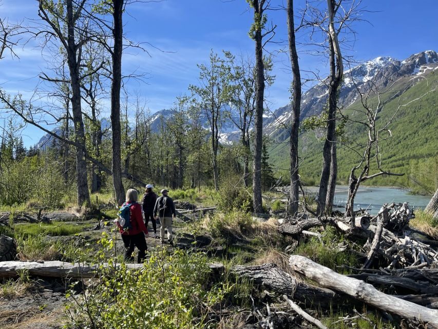 From Anchorage: Valley and Forest Hike with Naturalist Guide - Wildlife odds are real here, and the guide helps you judge distance
