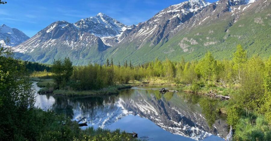 From Anchorage: Valley and Forest Hike with Naturalist Guide - Price and value: why $179 for 5 hours can make sense