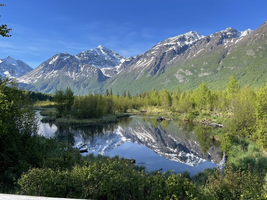 From Anchorage: Valley and Forest Hike with Naturalist Guide - Getting there from Anchorage is part of the value