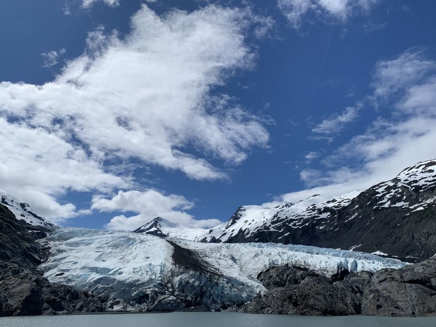 From Anchorage: Valley of Glaciers & Wildlife Center Tour - Key Highlights You’ll Feel on This Tour