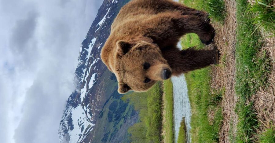 From Anchorage: Wilderness, Wildlife, & Glacier Experience - Meeting at Denaina Convention Center and What to Bring