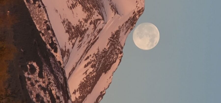 From Anchorage: Wilderness, Wildlife, & Glacier Experience - How the Day Flows: 6 Hours of Riding, Stops, and Commentary