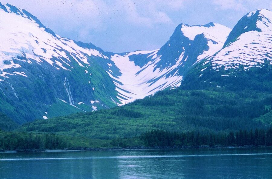 From Anchorage: Wilderness, Wildlife, & Glacier Experience - Who This Tour Is Best For (And Who Should Rethink It)