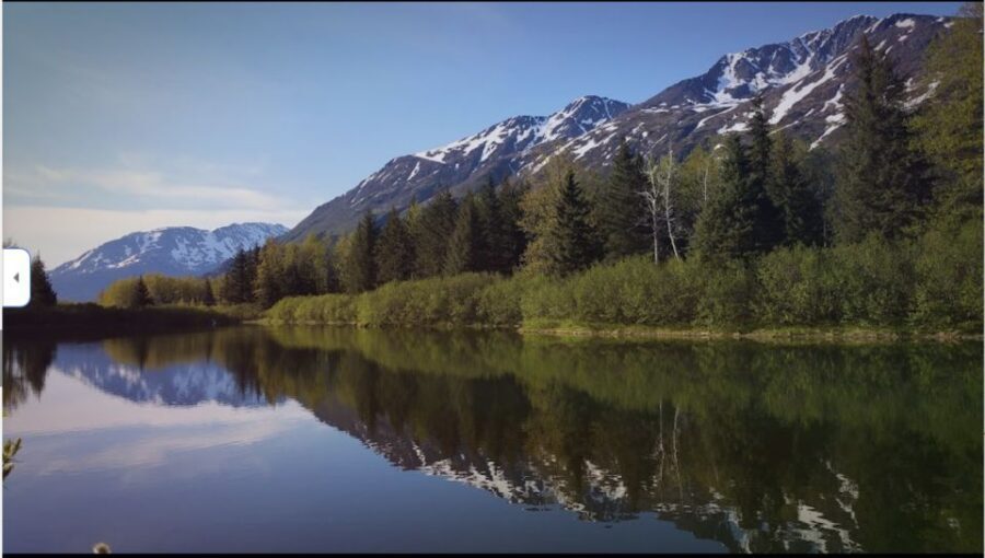 From Anchorage: Wilderness, Wildlife, & Glacier Experience - Alaska Wildlife Conservation Center: Your Reliable Wildlife Hotspot