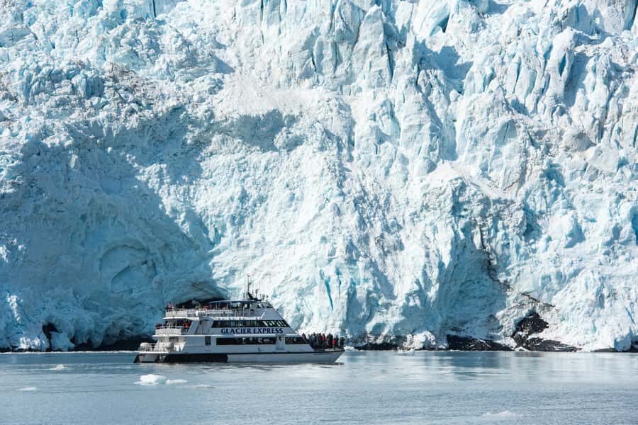 From Seward: Kenai Fjords National Park Cruise with Lunch - Key things that make this cruise worth your time