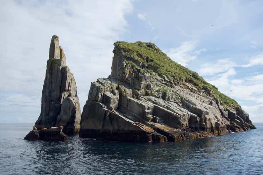 From Seward: Kenai Fjords National Park Cruise with Lunch - Entering The Day From Seward’s Harbor 360 Hotel